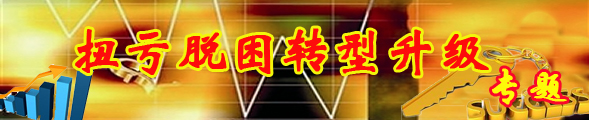 深圳網(wǎng)絡(luò)公司-解決方案案例